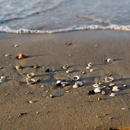 Lovely On The Coast Of Apartment *